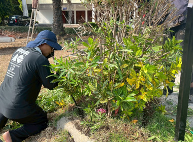 Big Cleaning Day พารามิเตอร์รูปภาพ 26